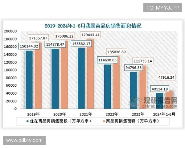 db体育入口的未来发展方向与行业前景分析